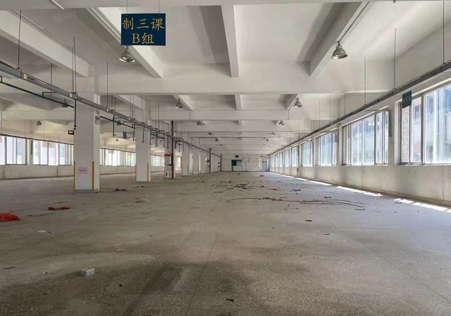 石湾镇大型工业园标准厂房分租13元起分租