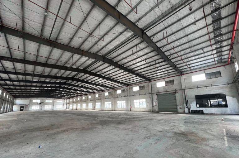 博罗福田镇新出一楼3000平钢构厂房特价出租格局方正好可分租