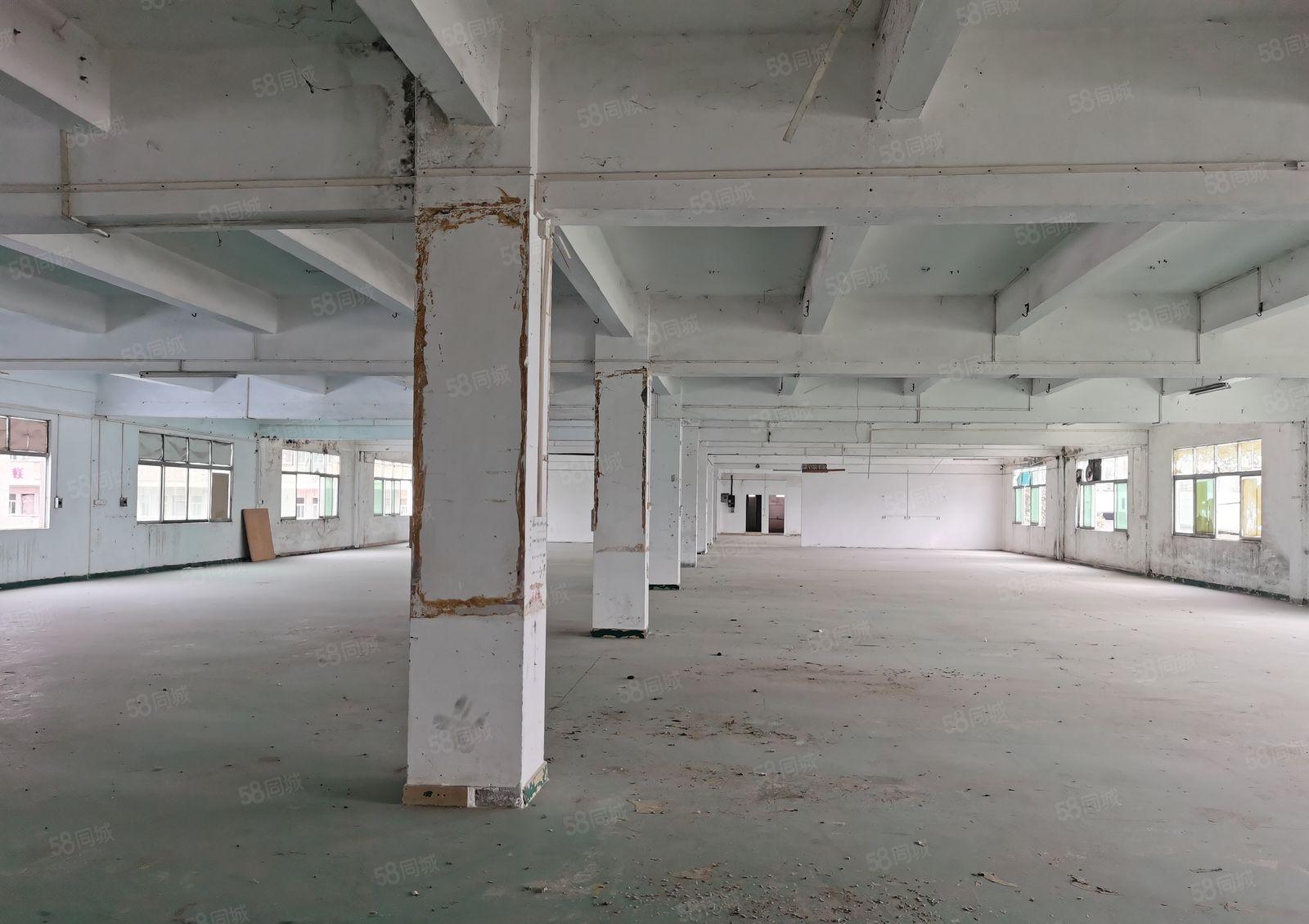 新出独院标准两层花园式厂房10700平方证件齐全空地大