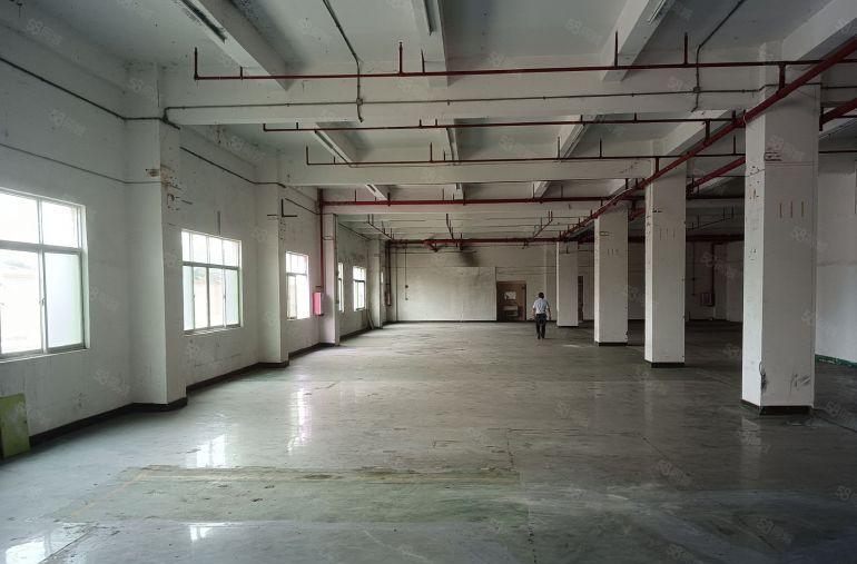 园洲！全新标准厂房二楼，4米高，园洲大道边上！带精装修办公室