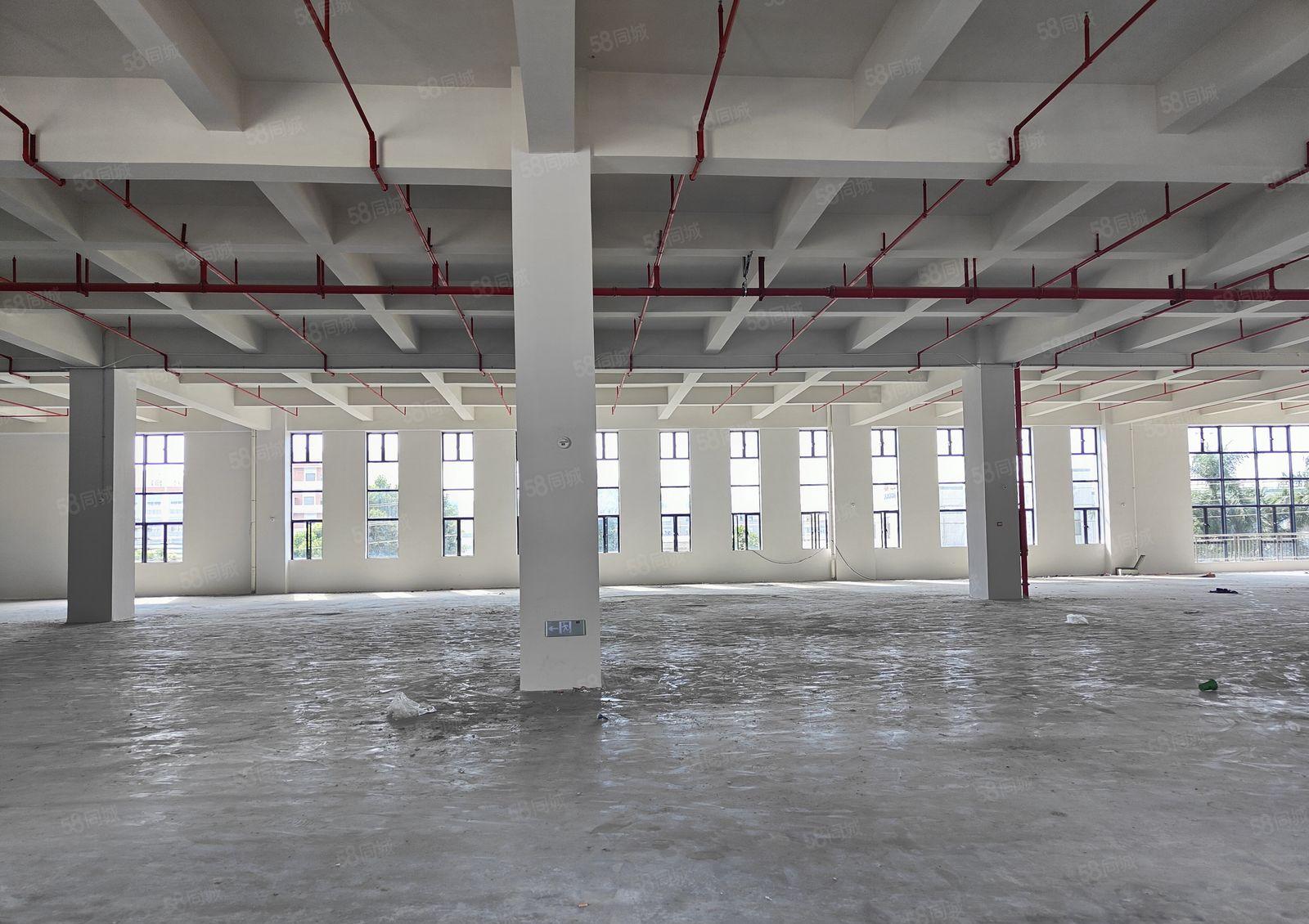 园洲工业区附近新出6880平方标准厂房出租，可以分租