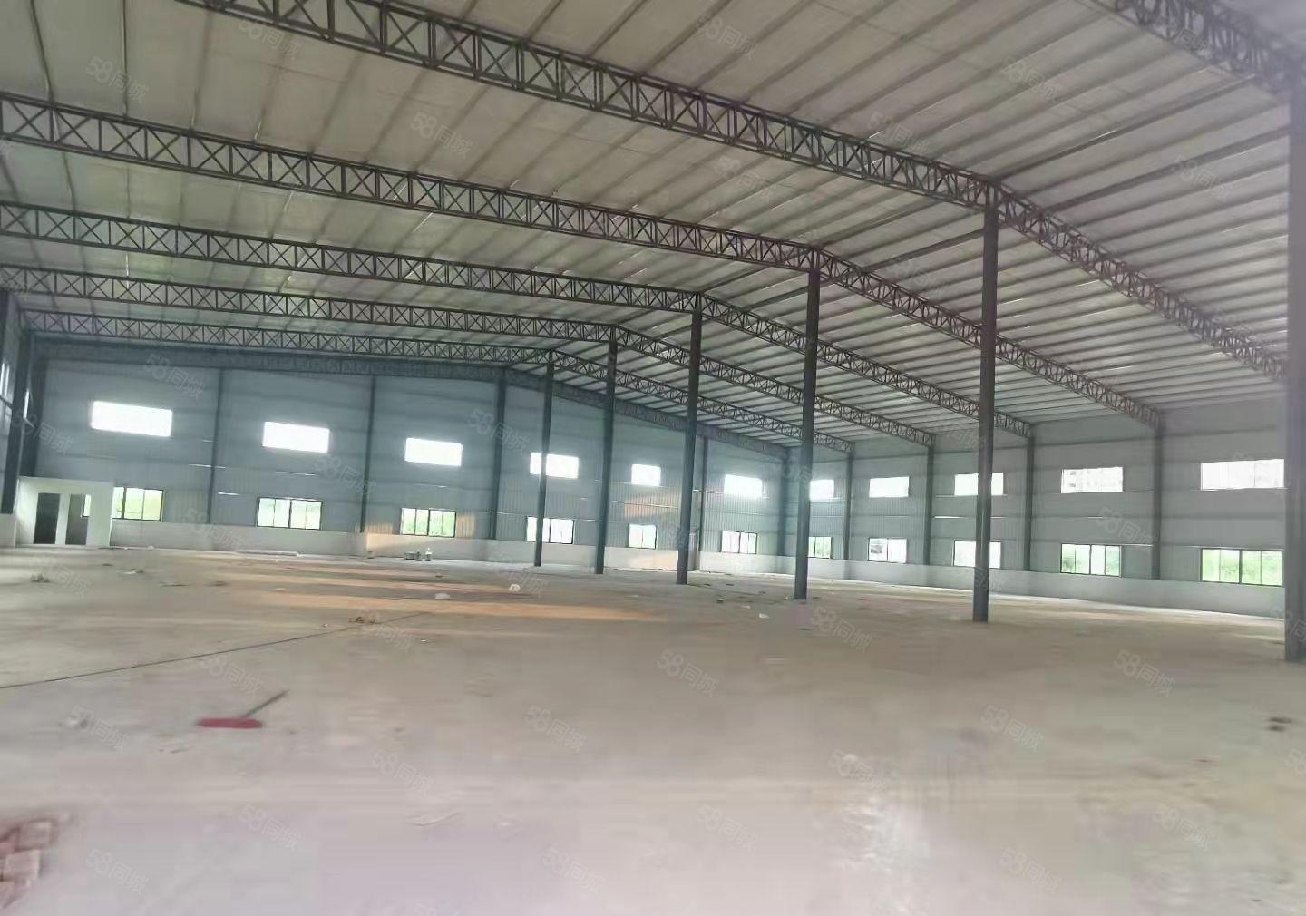 园洲镇全新钢构厂房滴水9米，带隔热2600平方证件齐全