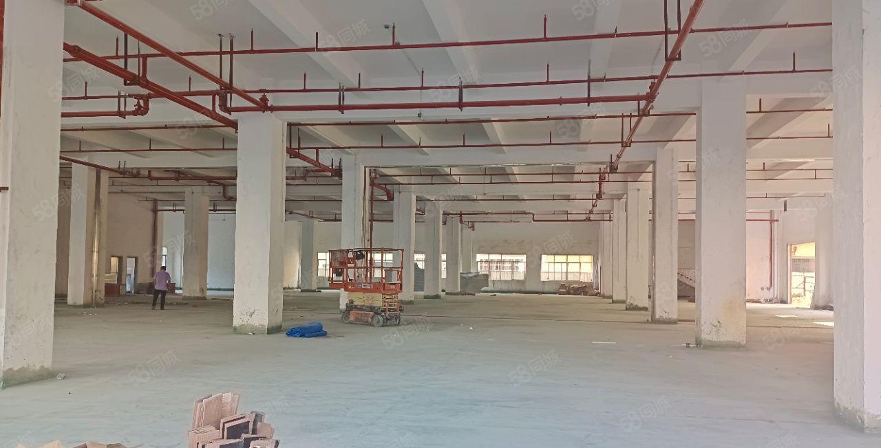 一手房东自建厂房出租，红本独院标准20000方可分租，配套全