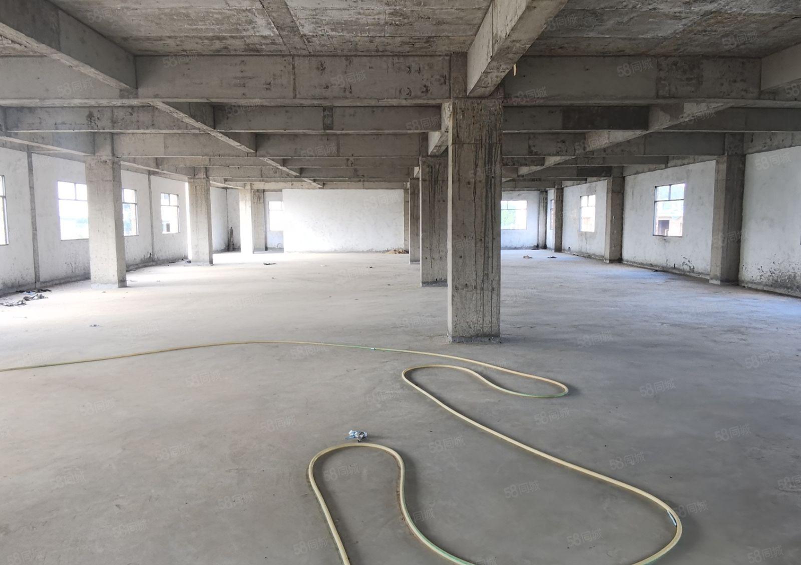 龙溪独院厂房出租价格优惠方正