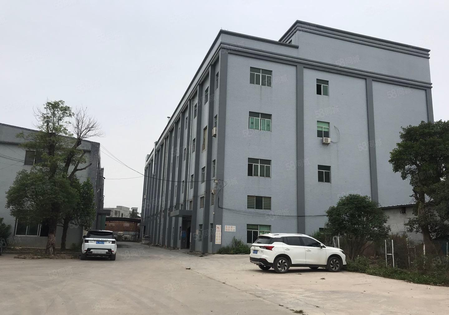 龙溪镇主道原房东单层厂房出租，单层3000一栋可分租齐全