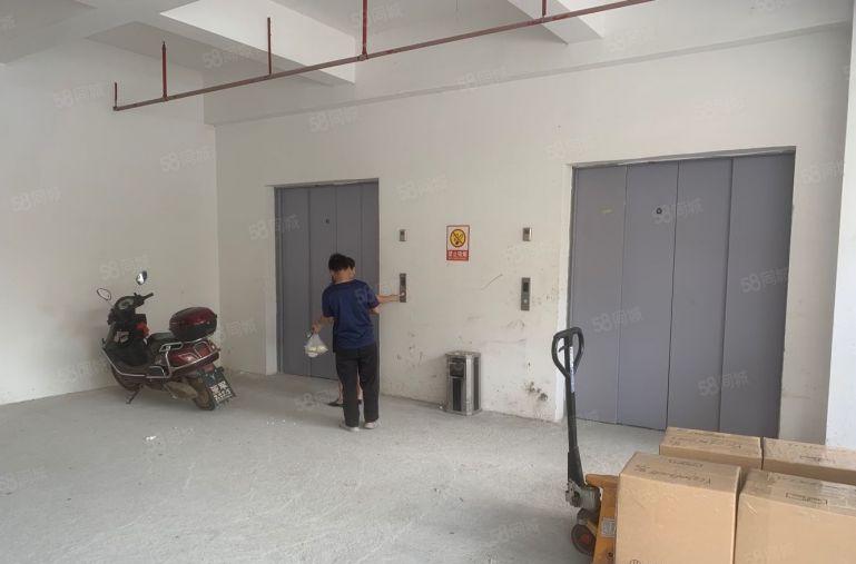 博罗石湾5~5000平原房东带红本层高6米仓库厂房出租大小分