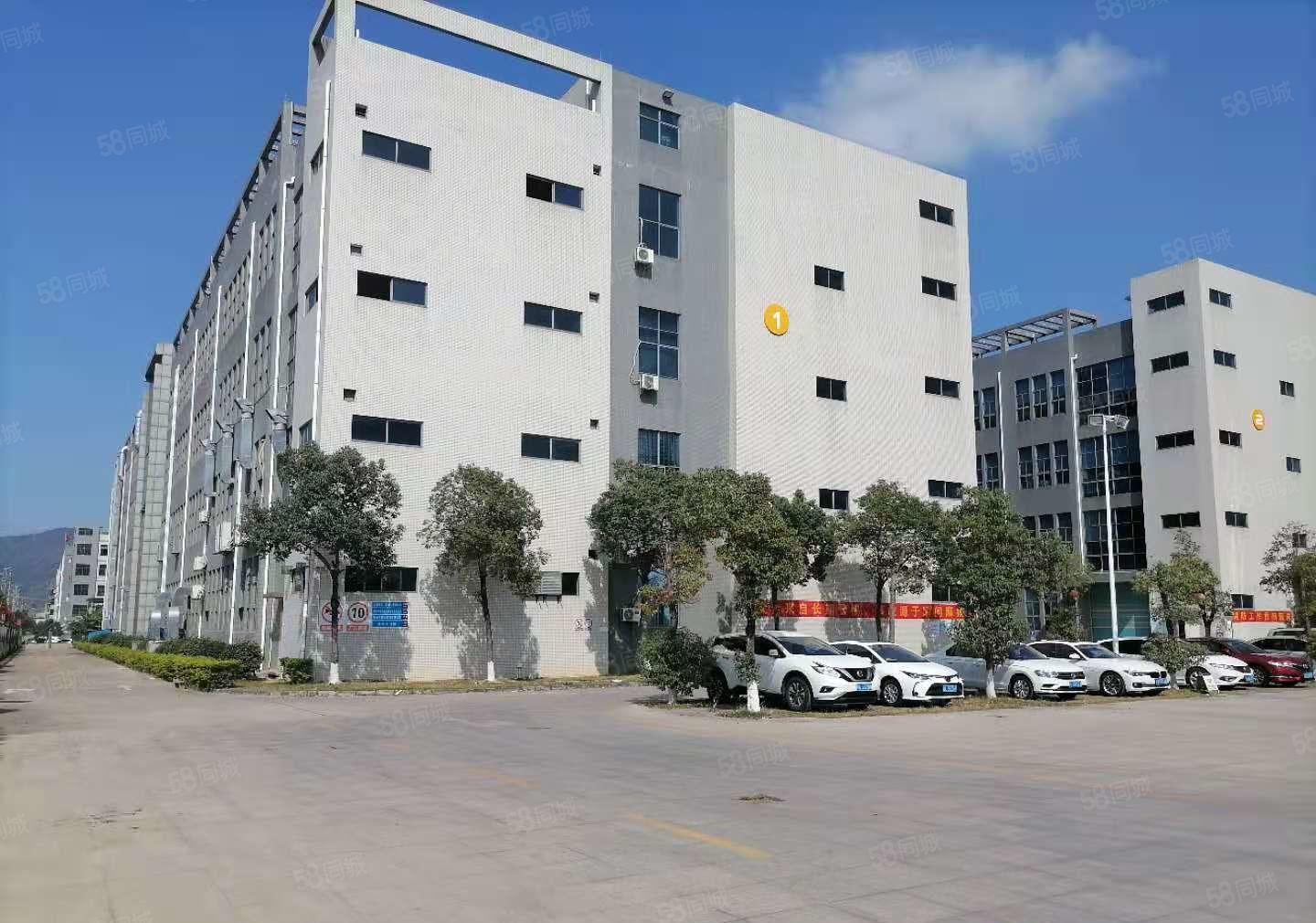 博罗园洲田头工业区精装修楼上红本厂房出租大货梯无公摊原房东