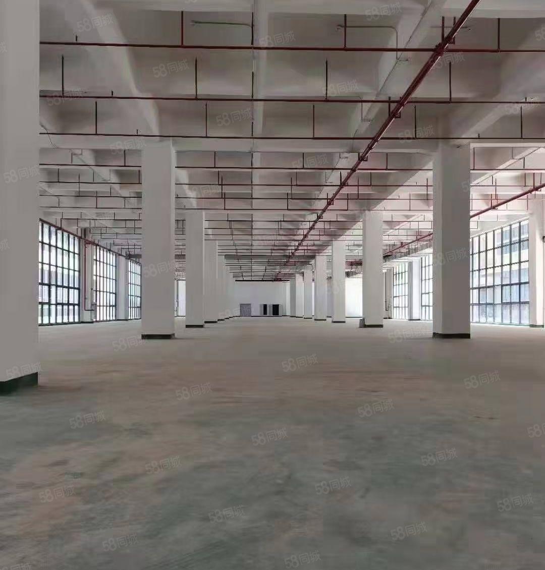 园洲全新标准厂房，原房东分租！价格便宜，现成装修！