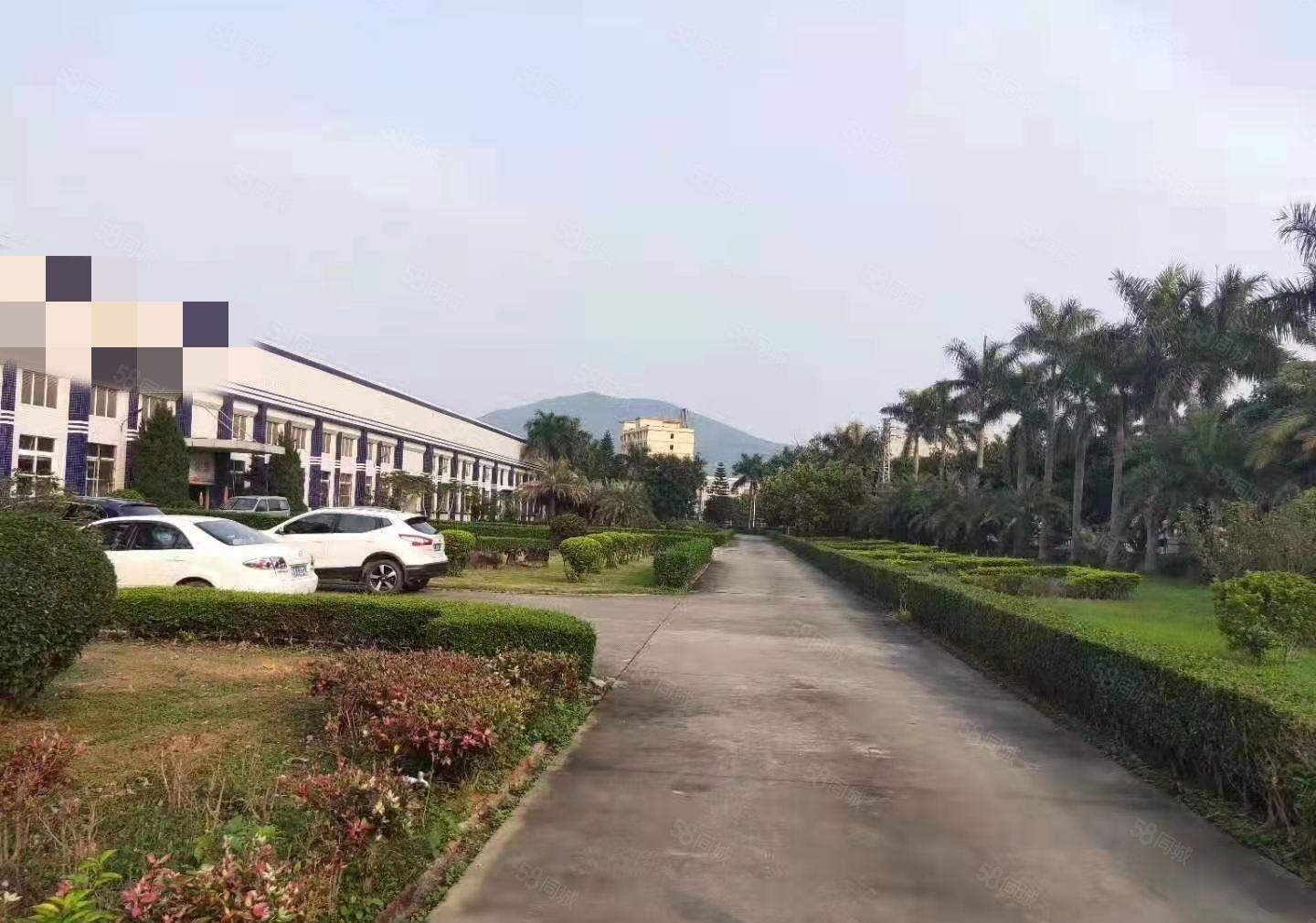 原房东实际面积招租10700平方钢构厂房证件齐全包过环评