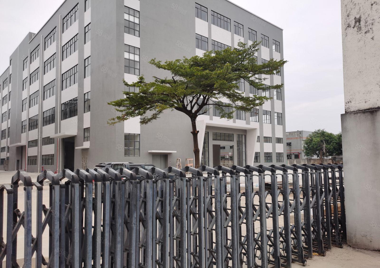 独院标准厂房带房产证消防喷淋合格证原房东工业区内，大小分组