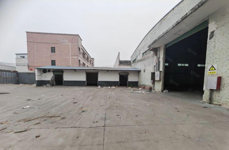 园洲原房东独门独院砖墙到顶厂房3800平，空地500平