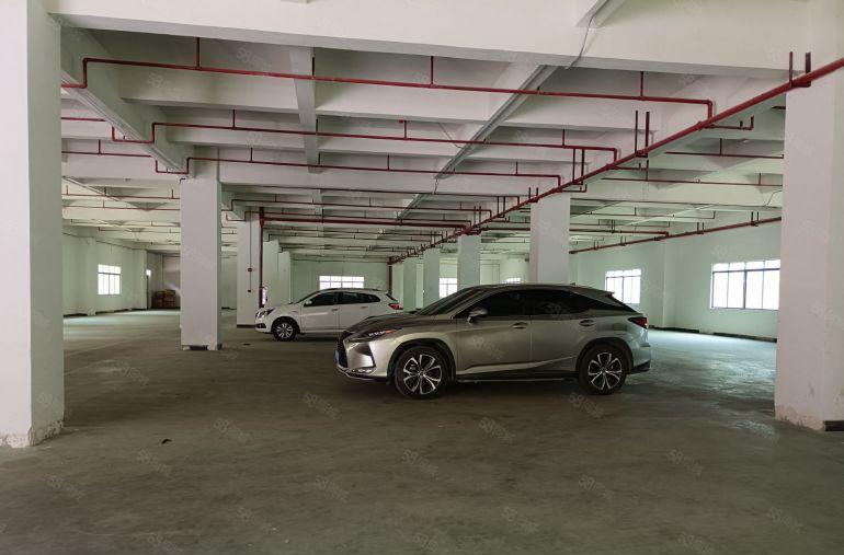 园洲镇原房东独院标准厂房出租仓库出租，空地大证件齐交通方便