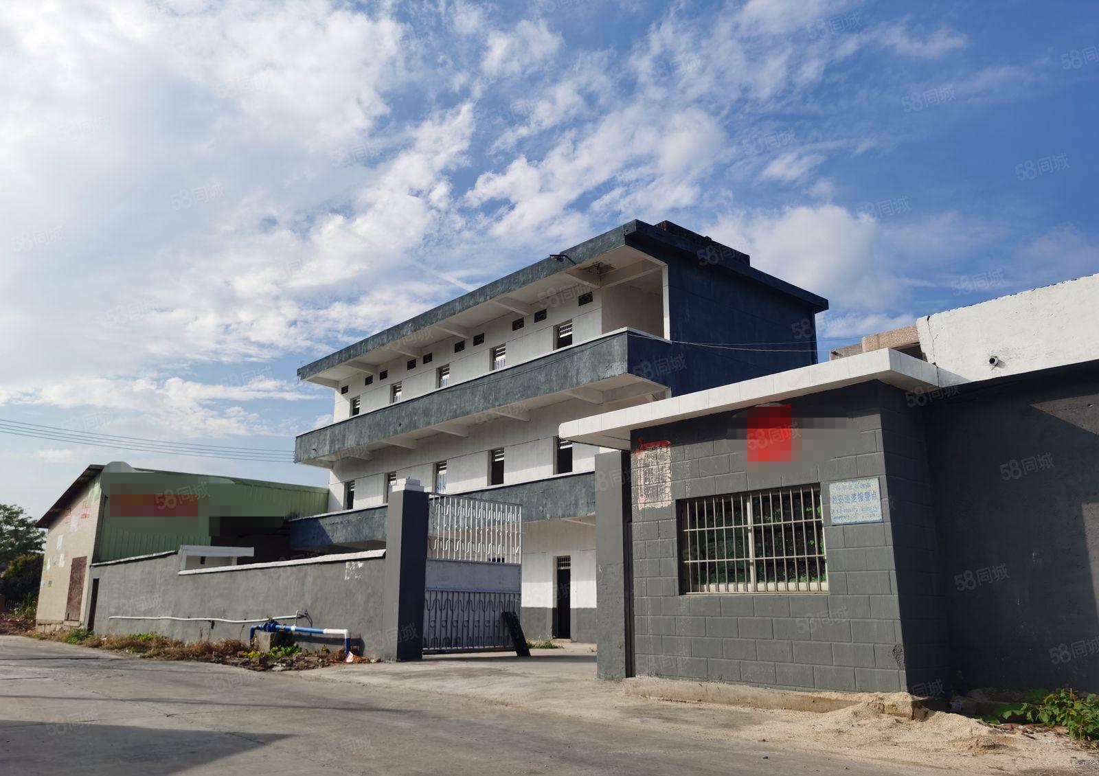 博罗福田3230方独院标准厂房出租 村委厂房可分租