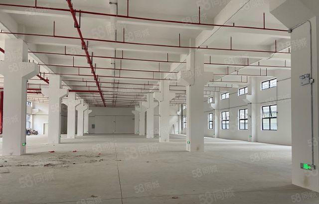 博罗龙溪全新原房东标准厂房出租可分租