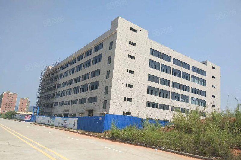 （临广州）惠州石湾科技园全新标准厂房35000平米招租