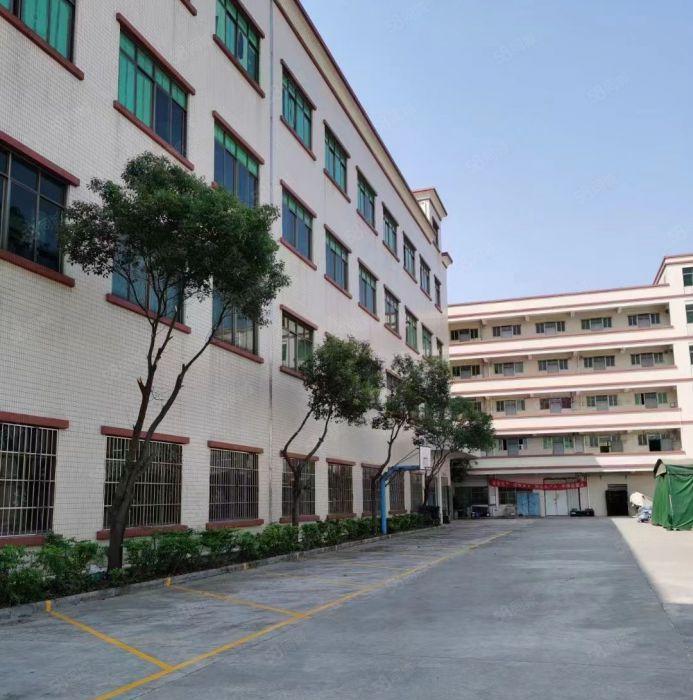 园洲！全新标准厂房二楼，4米高，园洲大道边上！带精装修办公室