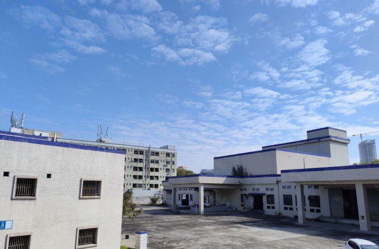 博罗园洲原房东独门独院单一层厂房5000平低价出租300平起