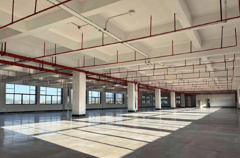 原房东直接招租全新标准厂房