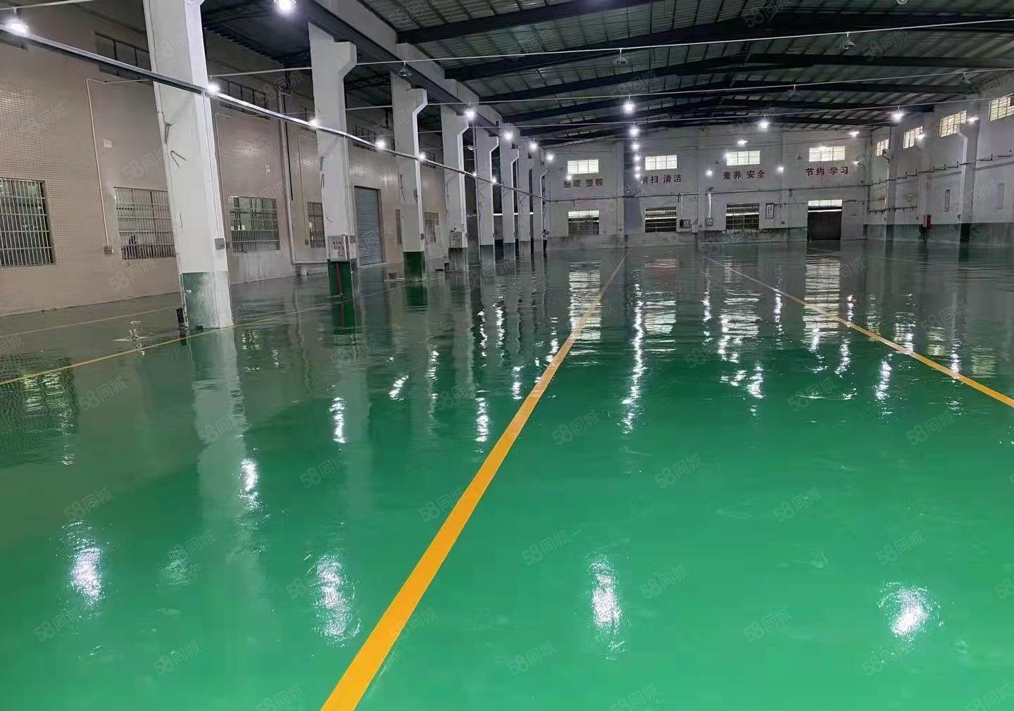 龙溪镇环胜单层独院4000平方出租，证件齐全，独门独院