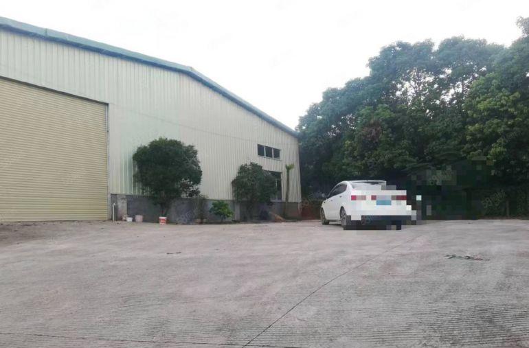 园洲原房东实际面积出租大空地单一层钢结构厂房 10 元急租！