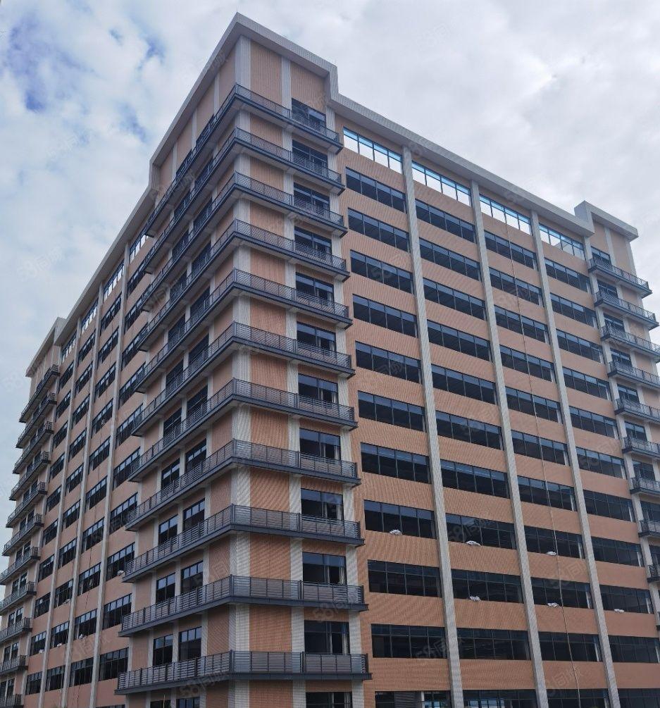 龙溪全新厂房出租 中心位置好招工  空地大