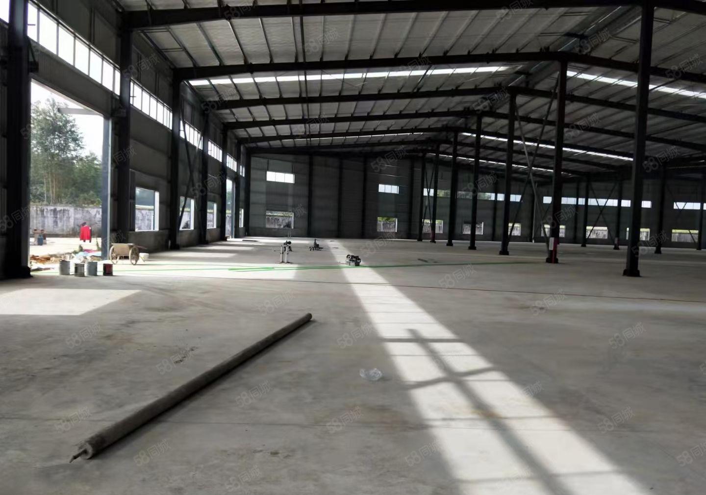 龙溪街道单一层钢结构厂房面积6000高度10米大小可分租