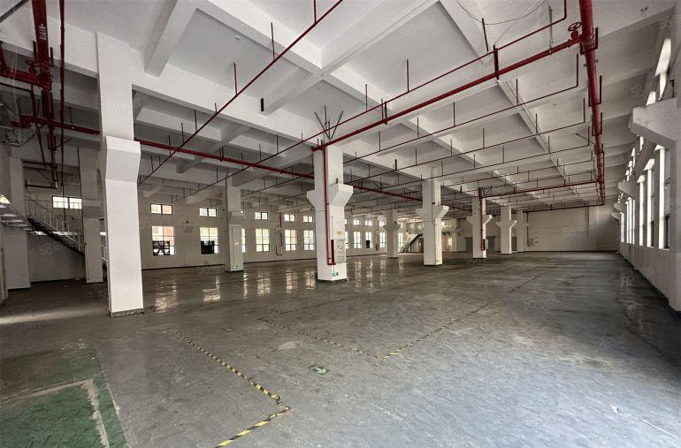 园洲厂房一楼2000平带牛角厂房低价出租博罗中心地带