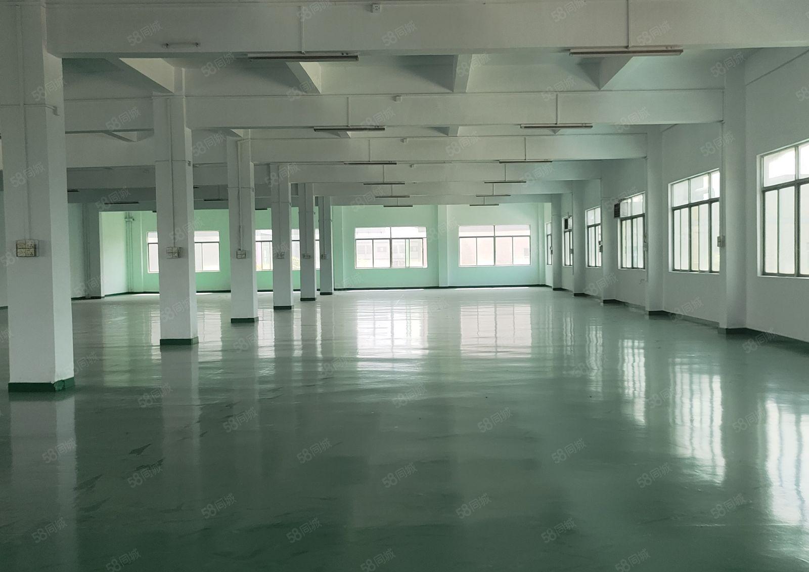 石湾镇源头工业区新出楼上分租一整层1400平方易招工