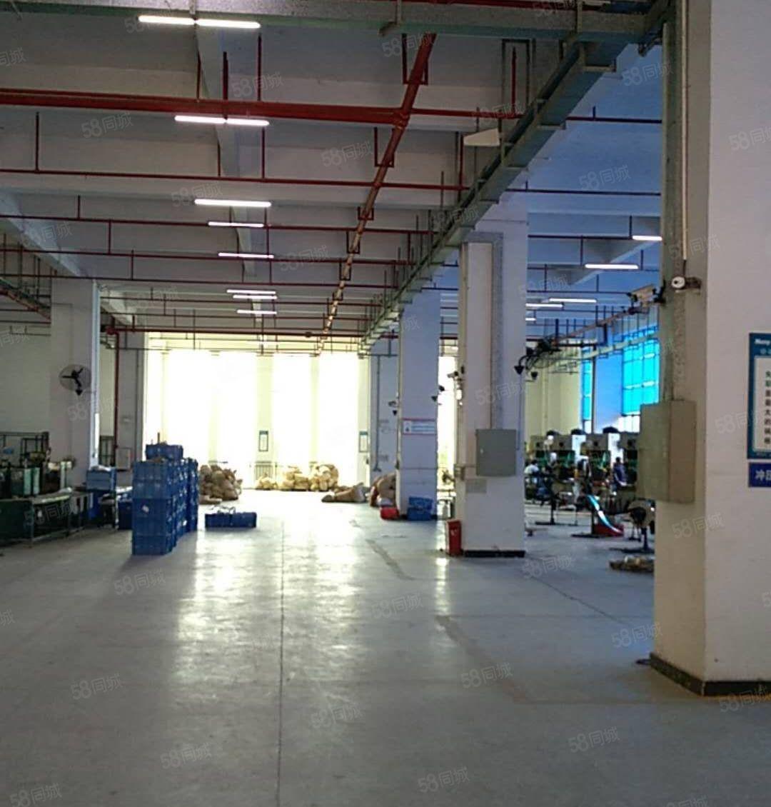 惠州市博罗县龙溪镇小蓬岗工业园区厂房出租10万方