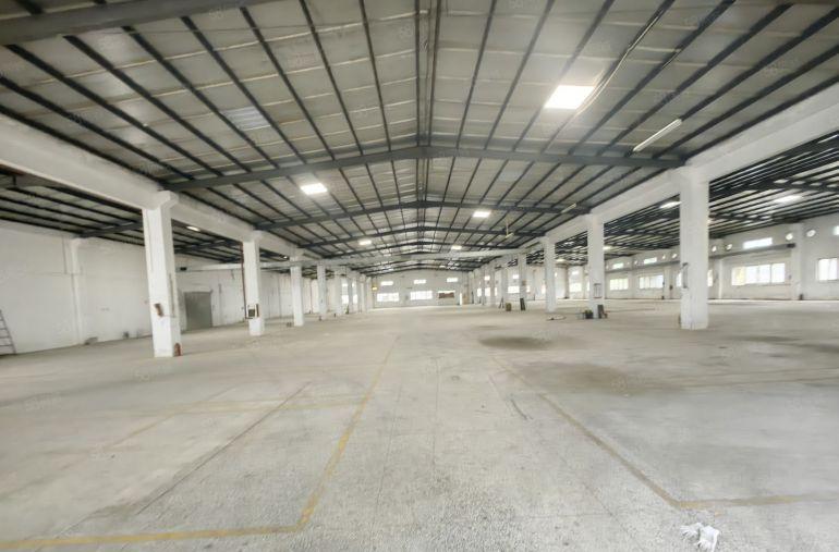 罗阳镇3000平钢构厂房出租，博罗大道边，可分租，原房东厂房