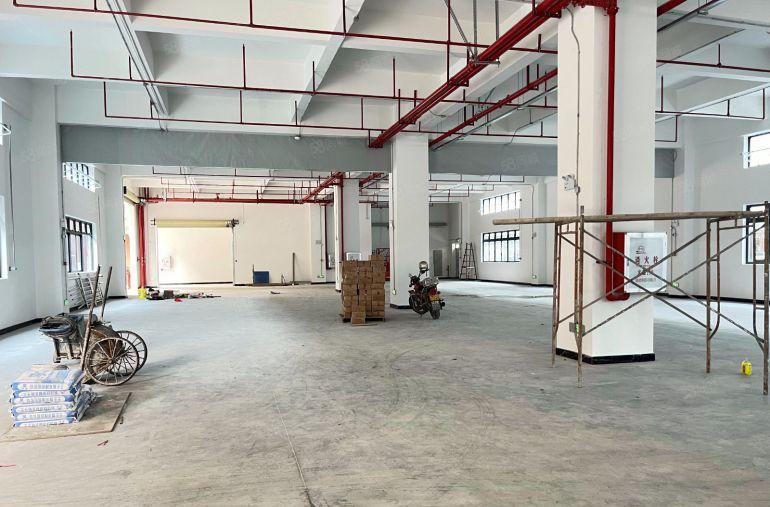 （原房东）园洲9块每平全新独栋厂房