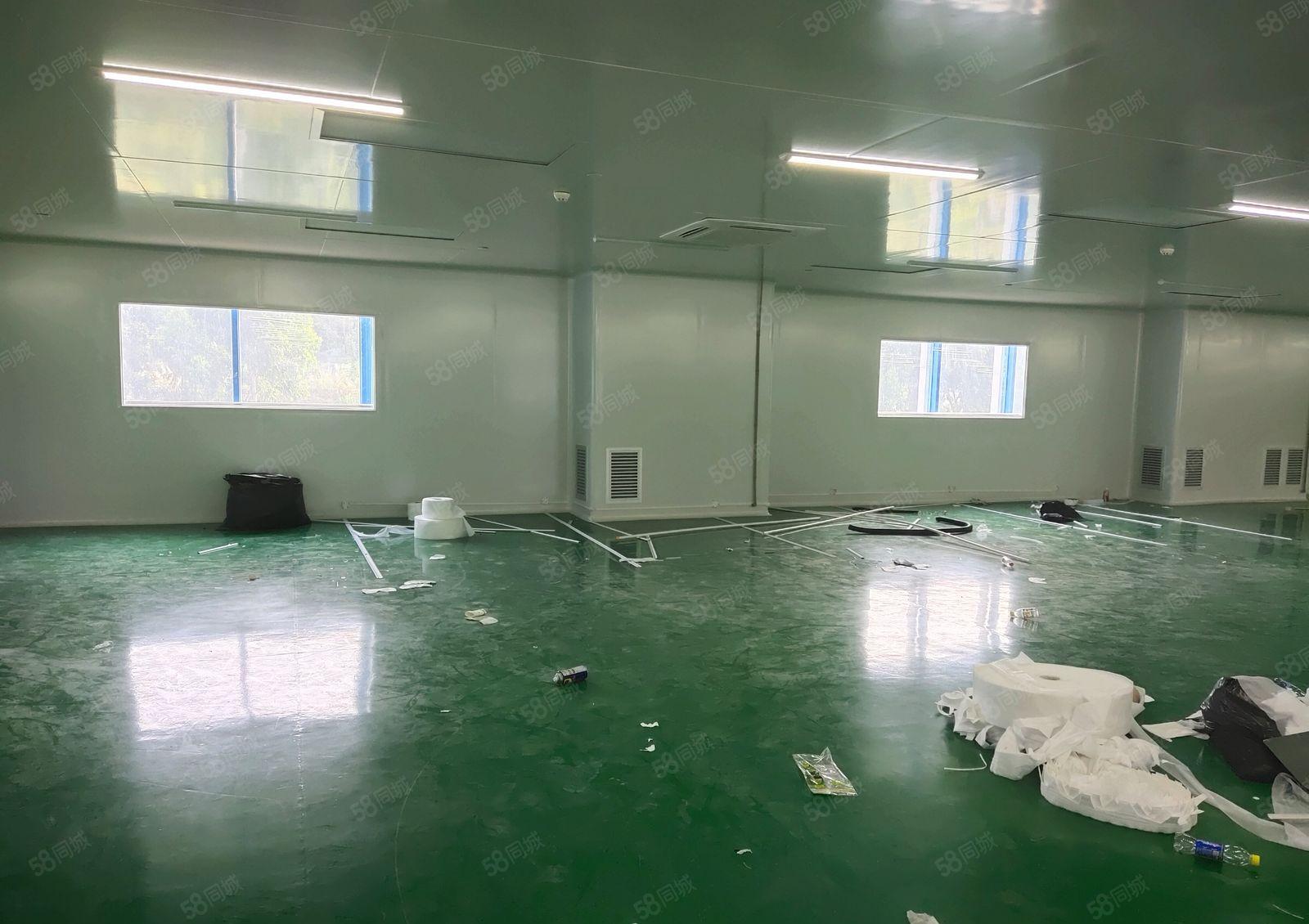 博罗东升工业区原房东独栋1900平无尘车间仓库厂房出租可分租