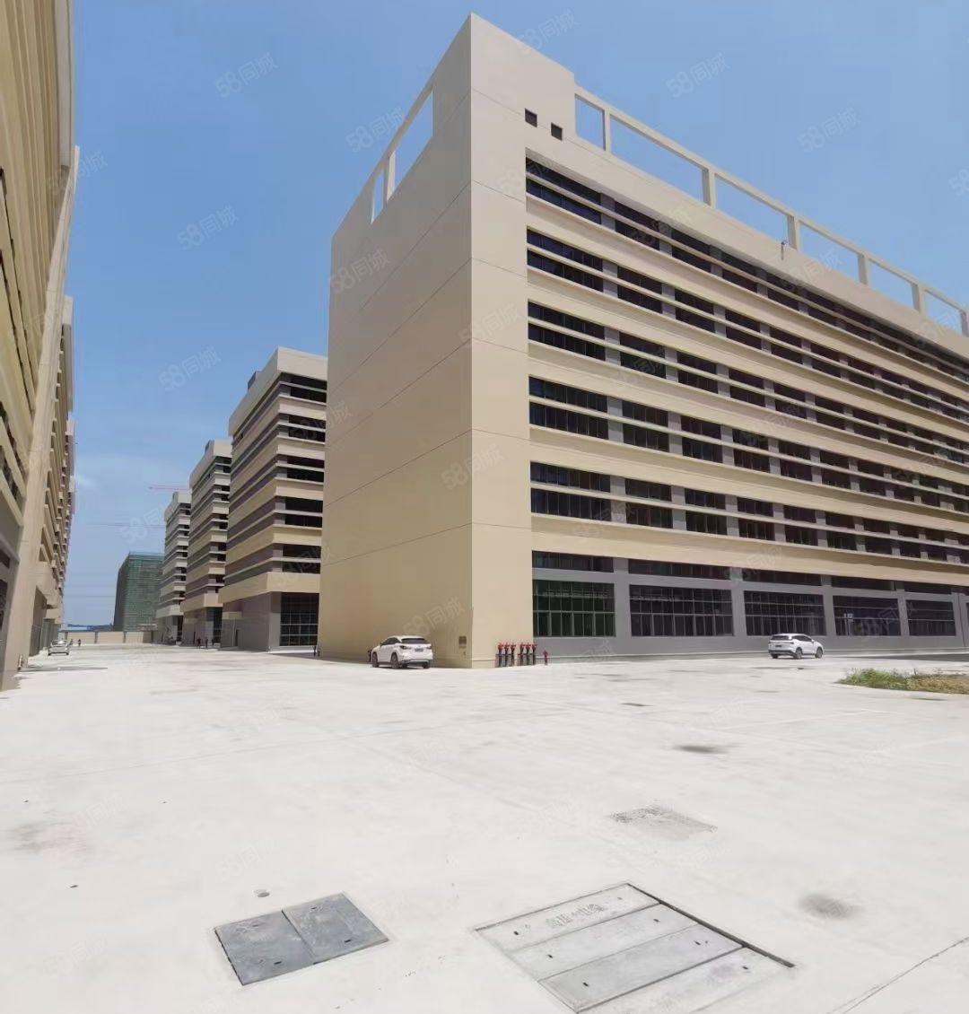 石湾原房东红本双证标准厂房特价出租！