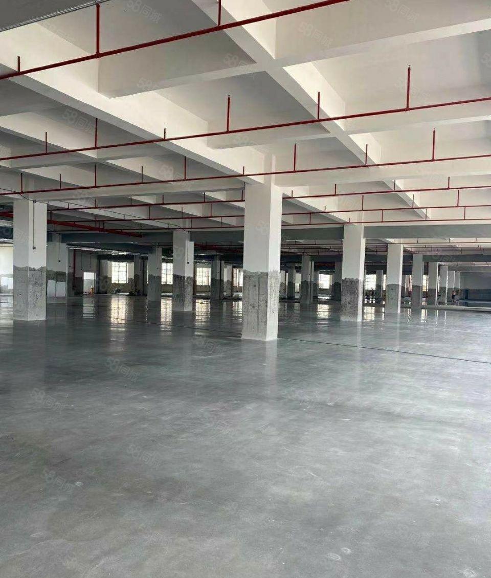 园洲镇新出原房东花园式独门独院标准楼房可做珍珠棉及小污染行业