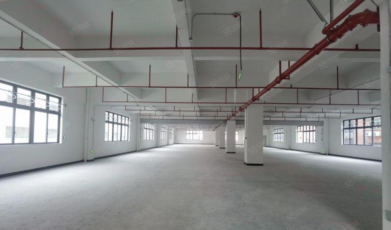 园洲镇原房东全新独栋标准厂房出租，