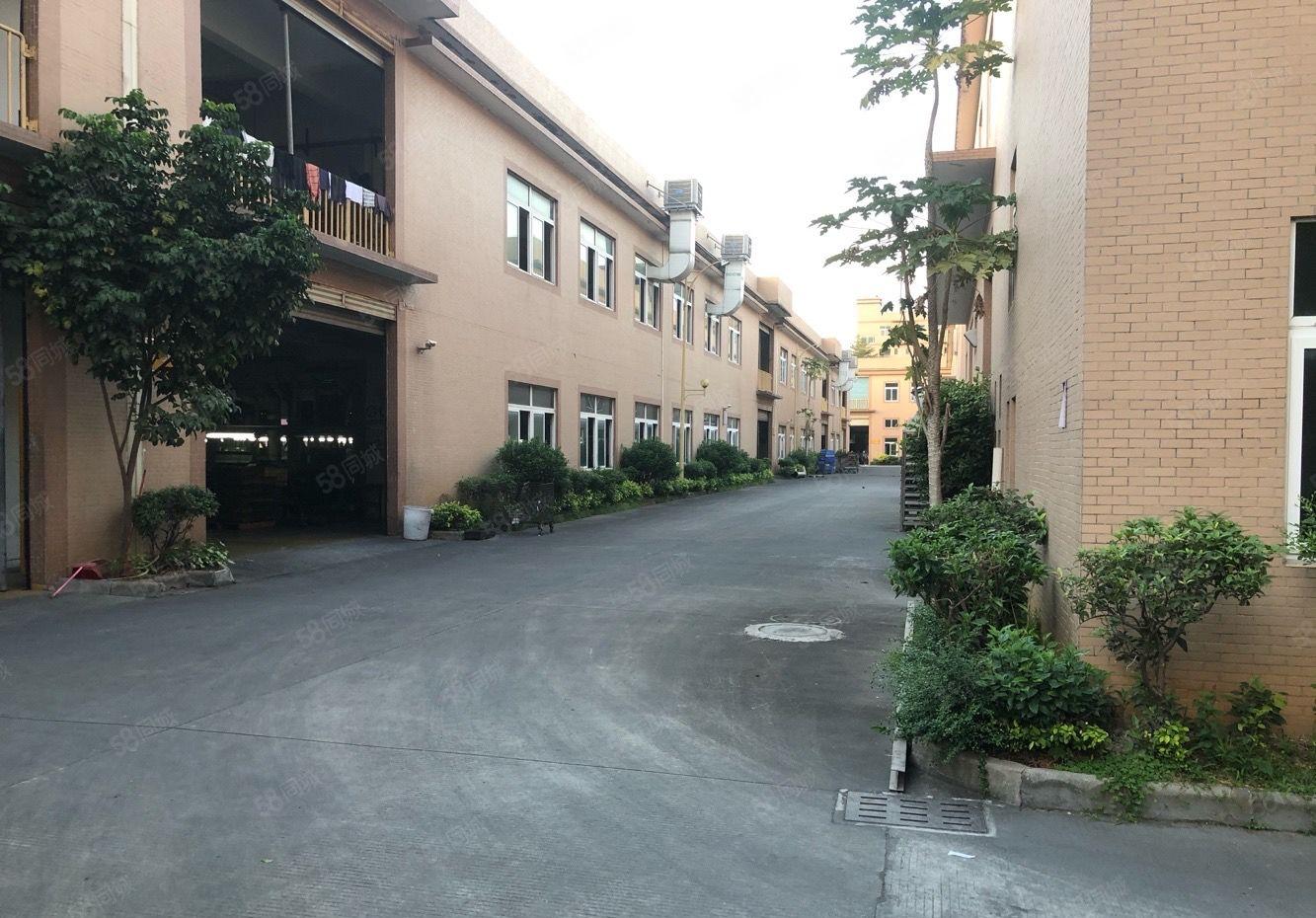 新出带红本大型工业标准厂房出租一楼六米高楼上5米周边配套齐全