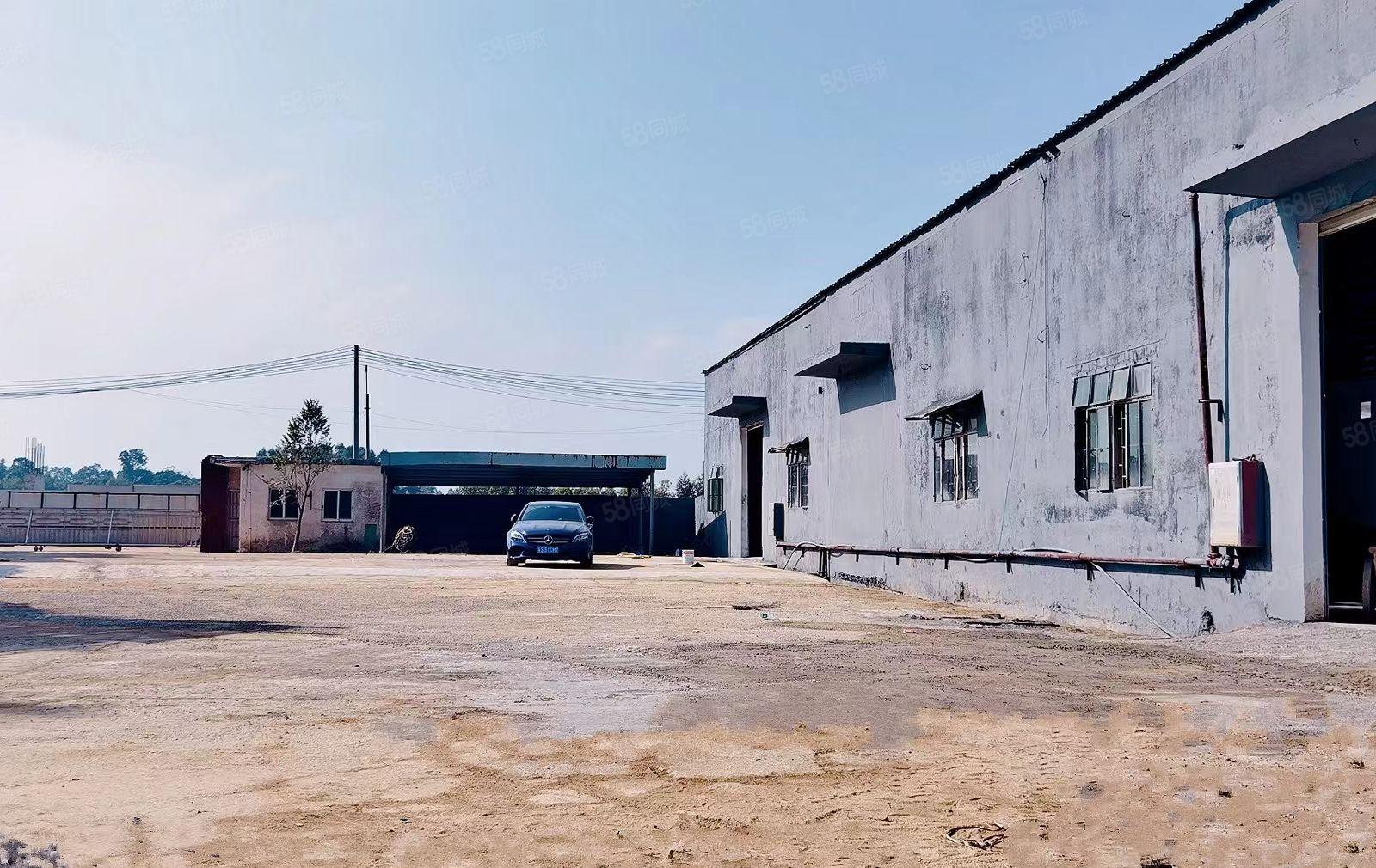 石湾镇原房东园区厂房出租1000方，面积实量可分租，环评无忧