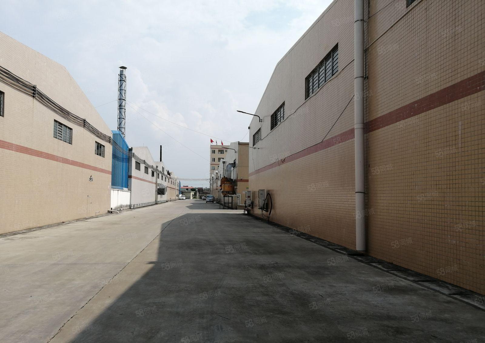 博罗石湾原房东2650平独院钢构厂房出租可小污染低价仓库分租