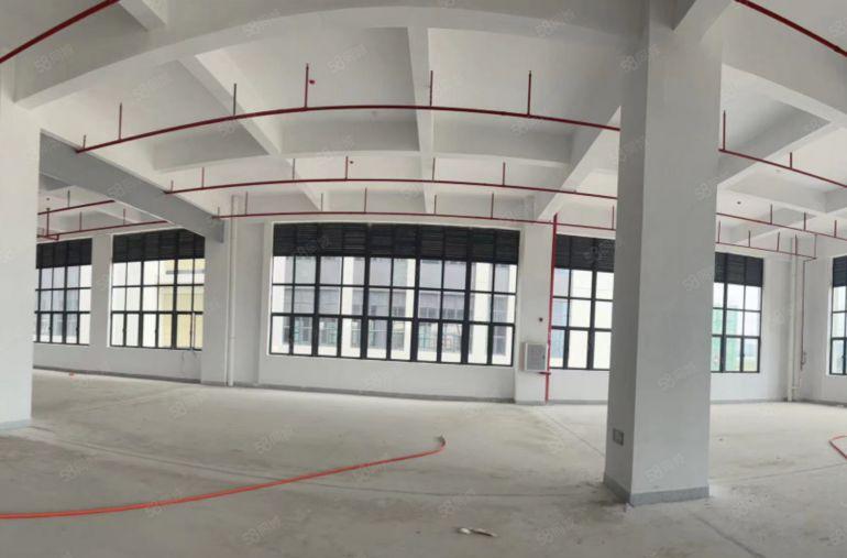 龙溪厂房出租 四面采光 原房东直租 国道附近 价格可谈