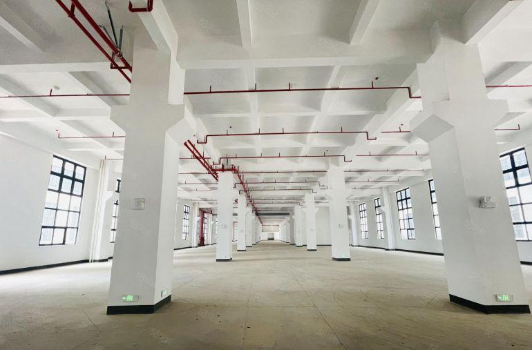 (低价)全新工业园区厂房出租 注塑 整栋 可分租 可办环评