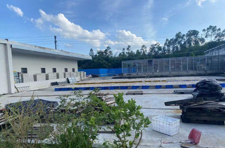 博罗原房东仓库厂房出租 独院 1500 形象好带宿舍大空地