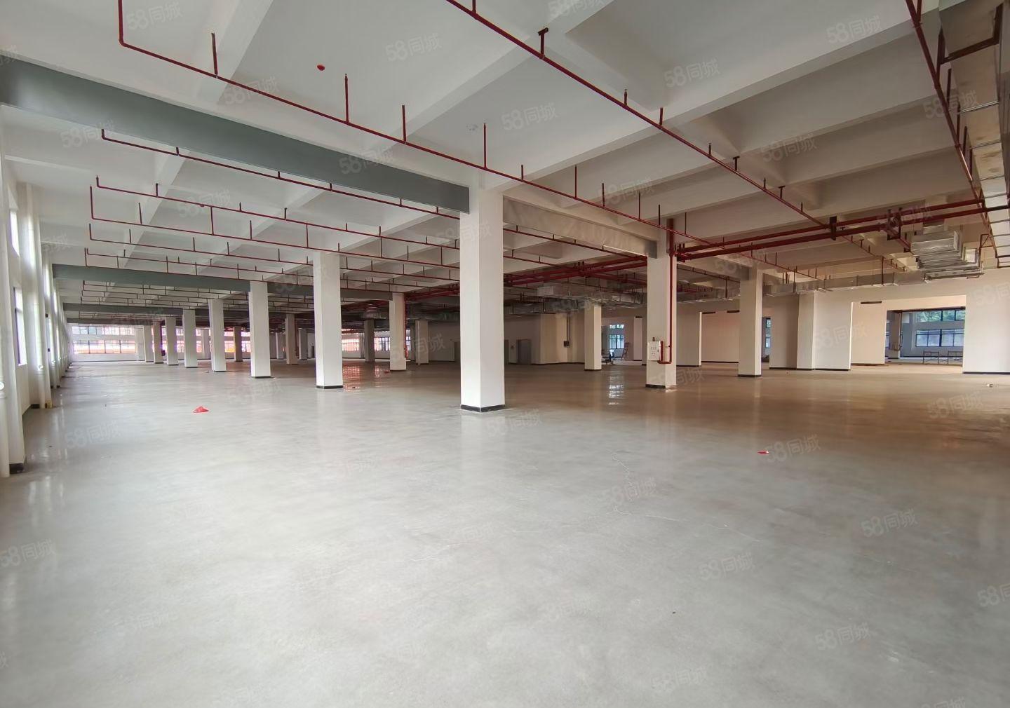 博罗石湾厂房加宿舍办公室总面积近7万平米花园式厂房出租