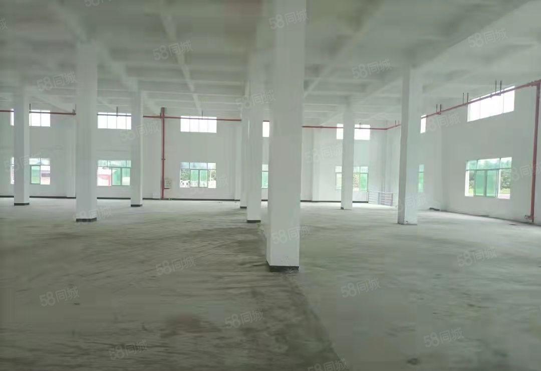 重工业厂房 独院标准 红本厂房 可分租标准厂房 喷油环评