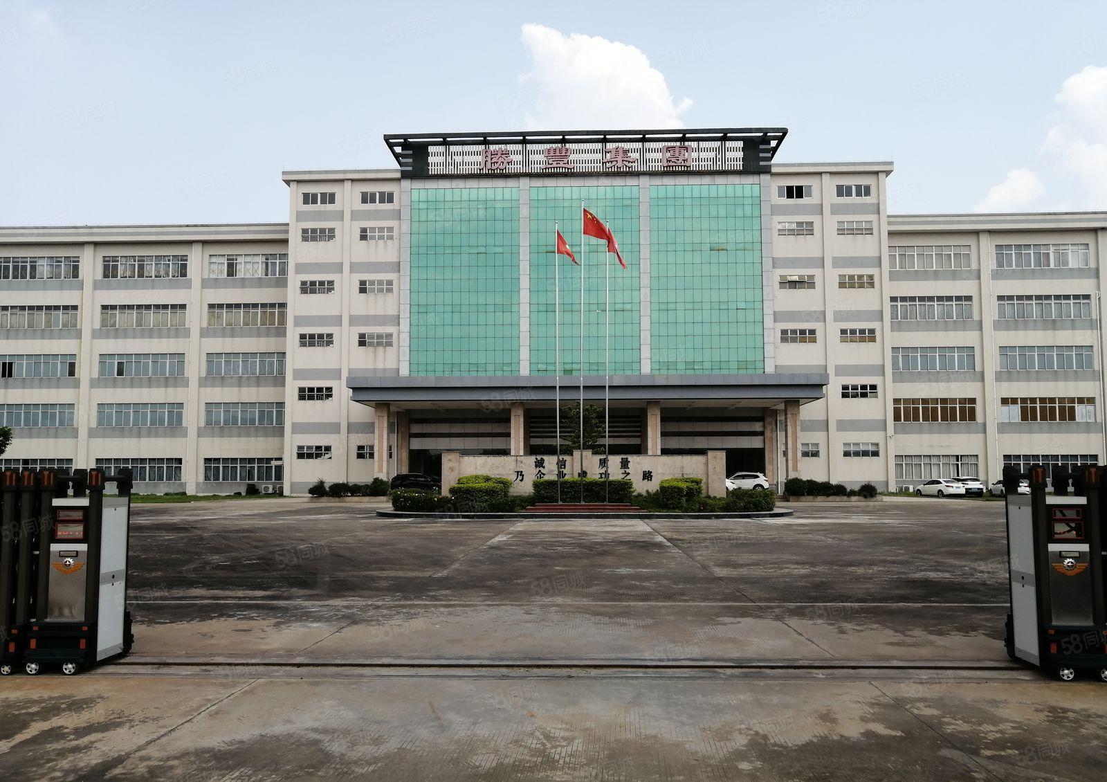 博罗园州沙头工业园厂房出租1000平方带办公室装修