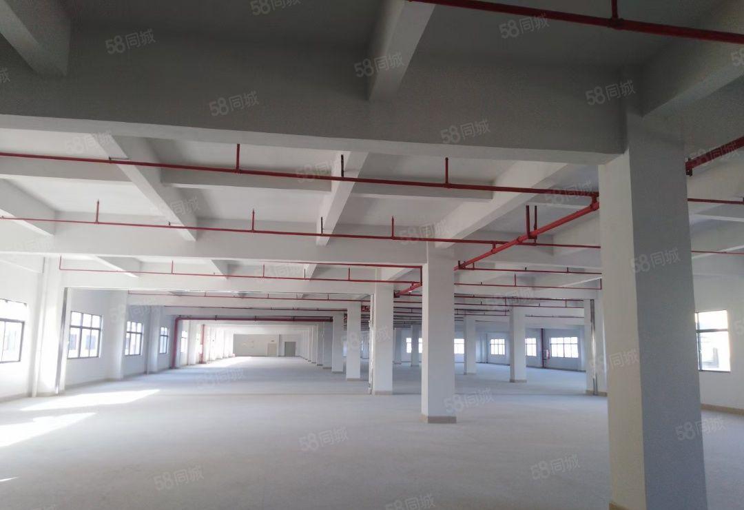 石湾原房东红本双证重工业标准厂房出租