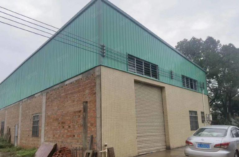 园洲多个小独院钢构厂房200到500平不等价格便宜