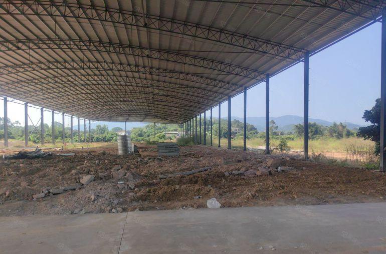 钢结构 中空 高11 无承重墙 周边无人