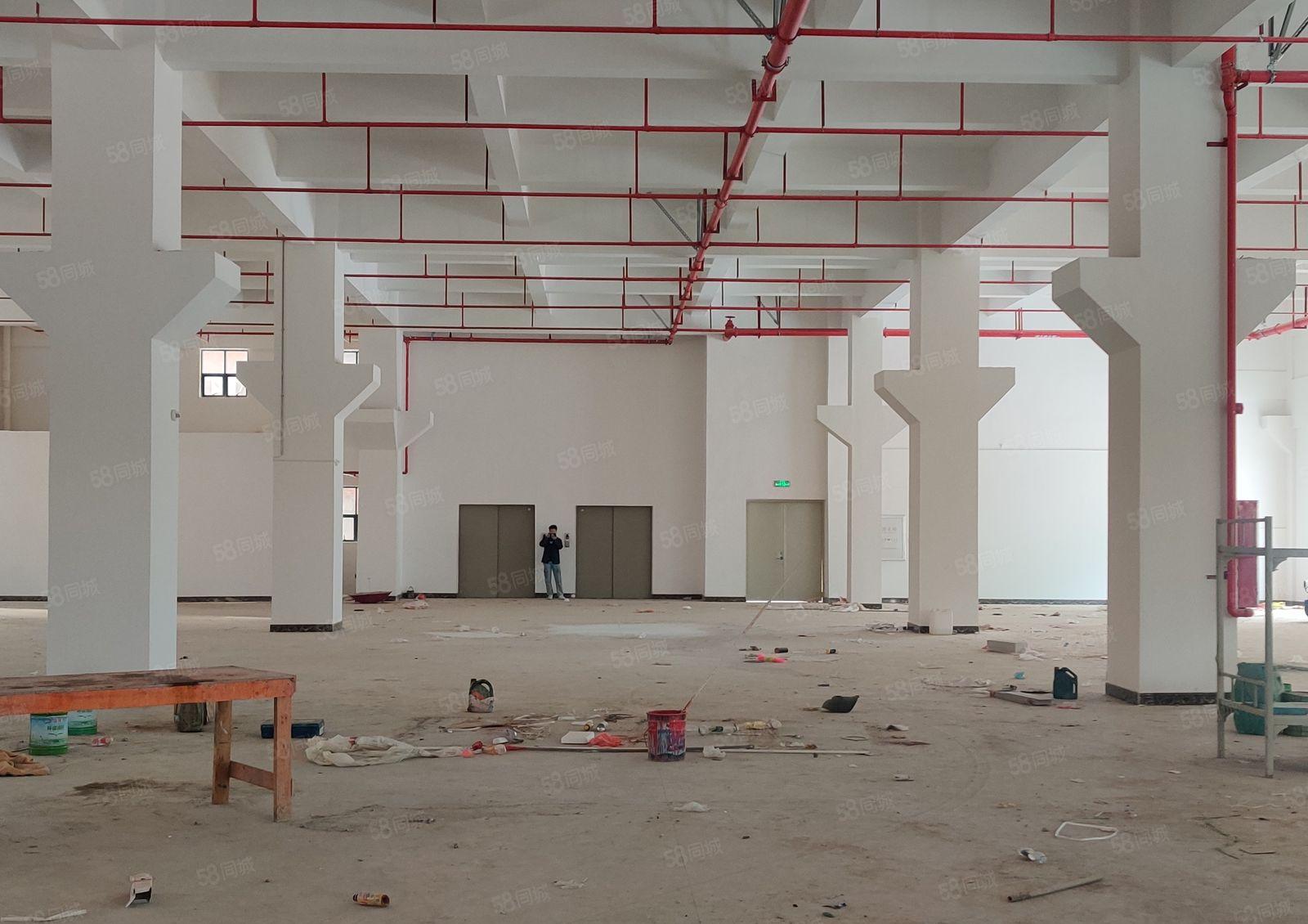 8元起租博罗杨村原房东独栋厂房仓库200平起分带红本可办环评