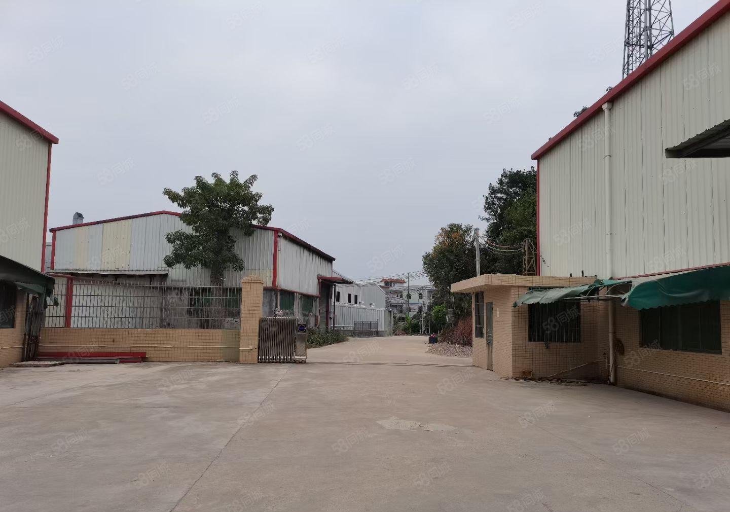 园洲村委独院厂房出租3500平，现成装修，证件齐全，可办环评