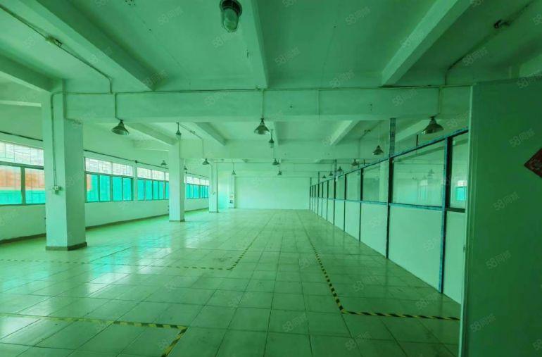 园洲国道边本地业主实地面积分租，关系好